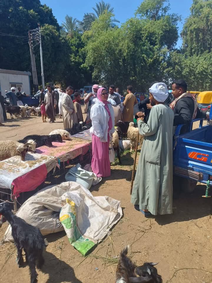 الدور الحيوي للطب البيطري 